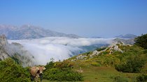 Full Day Private 4WD Tour from Bilbao to Picos de Europa. Fine meals.