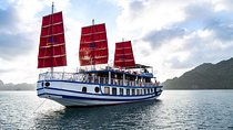 Bai Tu Long Luxury Day Cruise - Fishing Village, Kayak