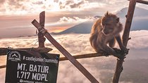 Hiking & Bali Swing 