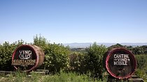 Chianti Region and San Gimignano including wine tasting and light lunch