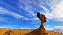 One Day Zen Meditation & North Coast Tour
