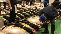 Tuna Auction and Market Tour at 'Activity Maison Kissako'