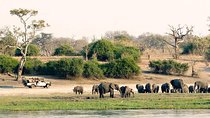 Chobe Full Day Trip