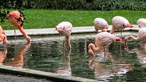 The Secret Milan – An Exclusive Stroll Beyond the Beaten Path