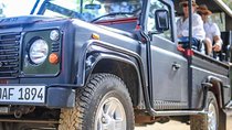 Afternoon Safari to Yala National Park