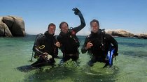 Beginner Scuba Diving Experience in Simonstown.