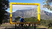 Mountain Biking Table Mountain to Constantia Morning Ride