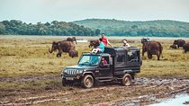 Private Dambulla & Kaudulla National Park Day Tour From Colombo