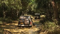 Afternoon Safari to Wilpattu National Park