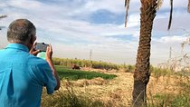 Hiking Rural Luxor