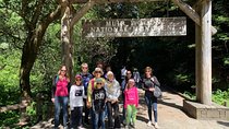 Amazing Muir Woods and Sausalito Tour