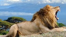 5 Days Maasai mara, Lake Nakuru, samburu private lodge safari