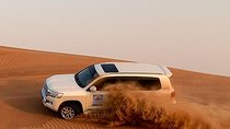 Dubai Morning Desert Safari: Camel Ride & Sandboarding!