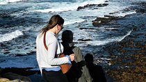 Chapman's Peak | Penguins | Cape Point