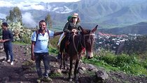 3-days Scheduled Lalibela Churches & Abune Yosef Trekking