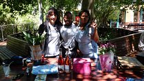 Wine Farm Tour