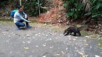 Tijuca Forest National Park
