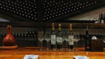 Premium & Organic Wine Tour in Kakheti