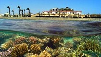 Coral Garden