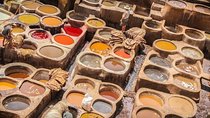  Fez day Tour with Local Guide & driver 