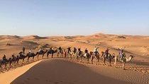 Desert Tour From Fez To Marrakech 3 Days / 2 Nights 