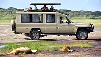 4 days Masai Mara - Lake Nakuru