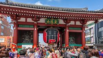 Half Day Sightseeing Tour in Tokyo