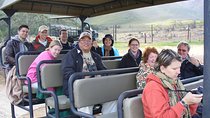  Private Wildlife and Wine Tour 