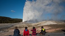 Private Yellowstone Old Faithful and Lower Loop Tour