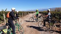 Bike, wines & lunch at Luján de Cuyo (Mendoza)