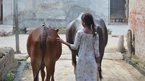 Village Snapshot - Pure and simple