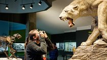 La Brea Tar Pits and Museum Admission Ticket with Excavator Tour