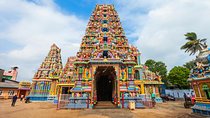 Sigiriya Day Tour & Trincomalee Drop With Holiday Walkers Sri Lanka 