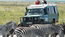 2 Days Joined Group Tarangire and Ngorongoro Crater National Park