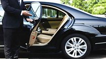 Personal Driver For Your Two Weeks Round Tour In Sri Lanka