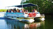 Black River Safari Tour from Kingston