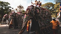 August Kandy Festive Tour