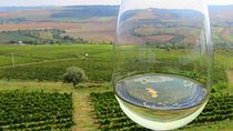 The wine route by bike