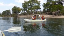 Canoeing with Wildlife Sightings 