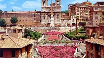 Rome private Guided Tour with driver