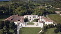 The Amarone Chateau guided tour and tasting in Valpolicella