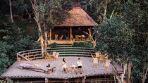 Excotic Spa & Jungle Swing