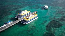 Isla Contoy! Explore a Bird Sanctuary from Cancun