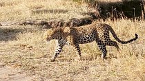 3 Days Masaai Mara Joining Safari