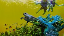 Great Saving: Sian Kaan Tour-expedition