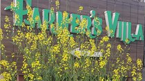 Guided Amritsar Village Tour