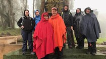 Trek To Mount Kilimanjaro 