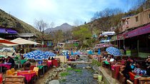 Marrakech to Atlas Mountains: Day trip to Ourika valley