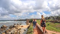 Southern Sri Lanka Sightseeing Tour from Colombo Harbor