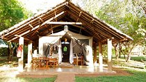 3 Days Nairobi, Tsavo West, Amboseli Safari